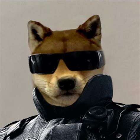 Pulse Anyone Dogwifhatgang Funny Profile Pictures Cute Profile Pictures Dog Icon