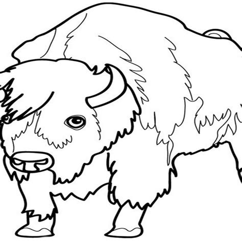 Butterfly coloring pages : How To Turn Your Bison Coloring Pages Free