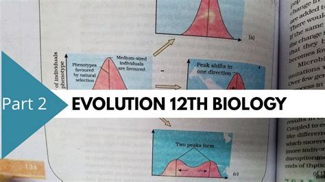 Ncert Class 12th Biology Chapter 7th Evolution Part 2 Youtube