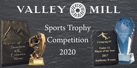 Trophy guide for stardew valley. Sports Trophy Competition 2020 | Valley Mill Blog