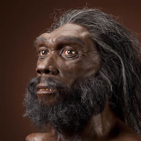 Homo Heidelbergensis The Smithsonian Institutions Human Origins Program