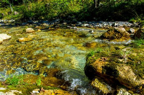 Creek With Fast Flowing Clear Water Stock Photo Image Of Energy