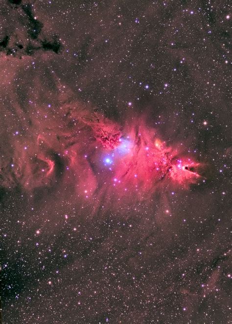 Ngc 2264 The Cone And Fox Fur Nebula Cosmos Outer Space Photos
