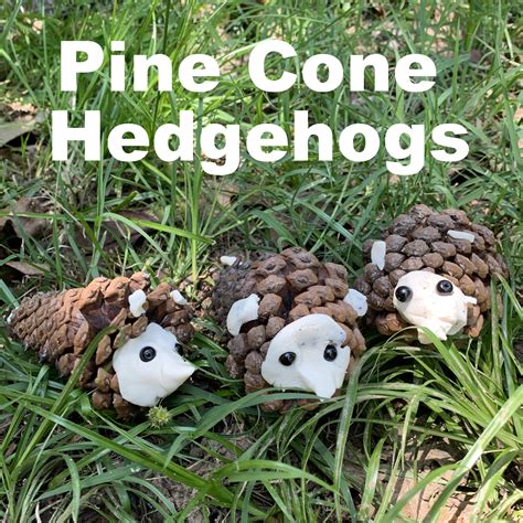 What I Live For Pine Cone Hedgehogs