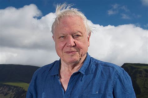 David attenborough's upcoming feature documentary, david attenborough: The winners! Classes from these four York schools will ...