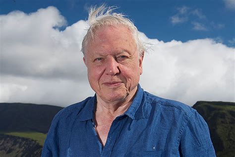 He has been the face and voice of natural history programmes on the bbc since the 1950s. The winners! Classes from these four York schools will ...