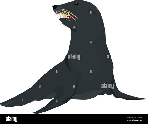 Detailed Sitting Sea Lion Illustration Stock Vector Image And Art Alamy
