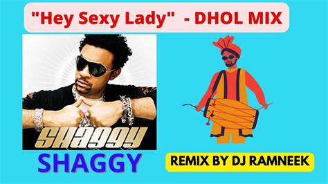 Hey Sexy Lady Shaggy Punjabi Style Dhol With Bhangra Mix Dj Ramneek Youtube