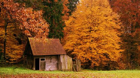 Download The Cabin In Autumn Woods Hd Wallpaper By Nicholasvilla
