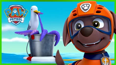 Pups Save Wally The Walrus 🐋 Paw Patrol Rescue Episode Cartoons