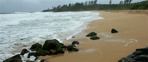 Before the harbor jetty was built here, niumalu beach park was a large sandy beach. Lydgate Park | Kauai Beach Scoop