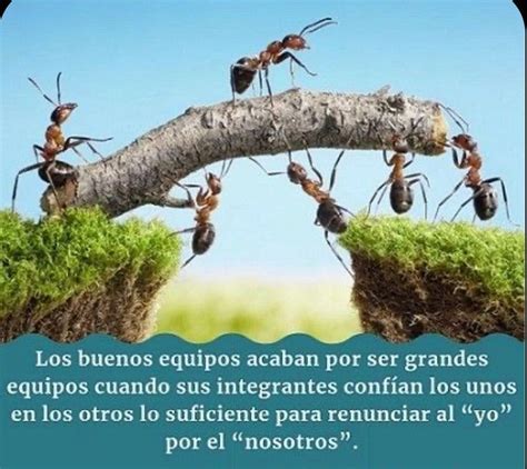 Frases Motivacionales Para El Trabajo En Equipo Frases Motivacionales