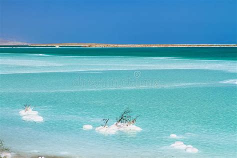 Beautiful Coast Of The Dead Sea Stock Image Image Of Salt Land