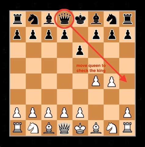 How To Win A Chess Match In Just 2 Moves Chess Tricks Chess Game