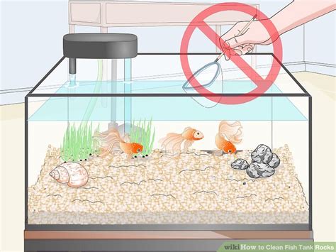 Best fish tank companions for a glofish barb. 3 Ways to Clean Fish Tank Rocks - wikiHow