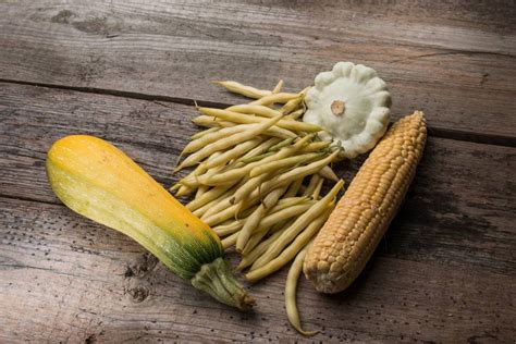 The Three Sisters: Planting corn, beans, and squash ...