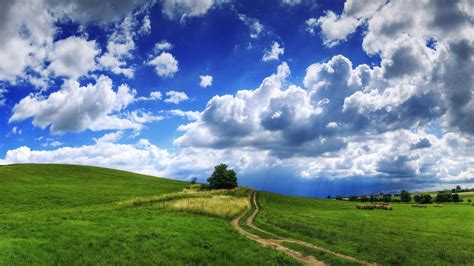 1920x1080 Nature Landscape Field Grass Clouds Trees Path Straw Hill