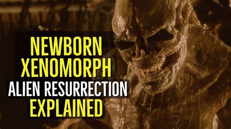 How the xenomorph continues to horrify audiences decades later. NEWBORN XENOMORPH (Alien Resurrection) EXPLAINED - YouTube