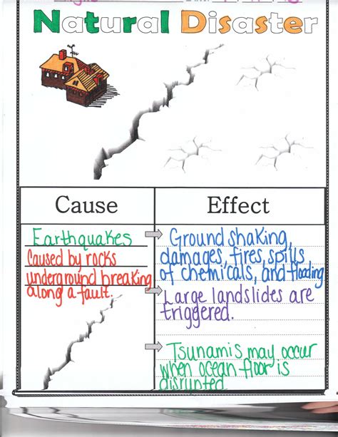 Cause And Effect Third Grade Lesson