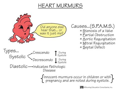 Valves may become narrowed (stenotic), making it harder for blood to flow through your heart, resulting in murmurs. Heart Murmurs cause S.P.A.M.S. | Cardiovascular ...