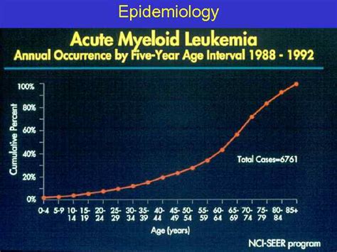 Acute Myeloid Leukemia What Is An Acute