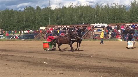 Kikino Alberta Chariot Races 2017 Youtube