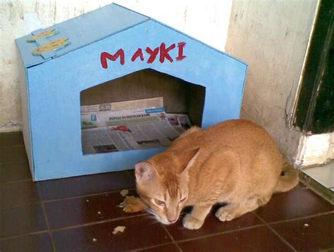 Rumah kardus sederhana untuk hiasan meja. Membuat Sendiri Rumah Kucing | Agus Sugiyono's Blog