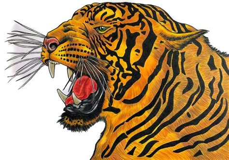 Siberian Tiger Coloured By Me From The Book By Tim Jeffs