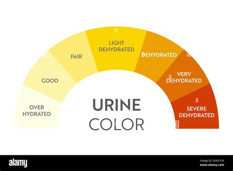 This Urine Color Chart Explains How To Read Your Pee Bulletproof How