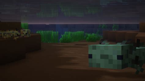 Amazing Axolotls X Fresh Animations Screenshots Minecraft Resource