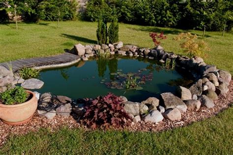 10 Ways To Decorate Your Pond Water Garden Advice
