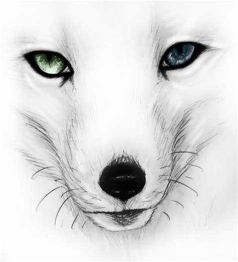 Check spelling or type a new query. arctic fox by R0XX0rZzz on DeviantArt