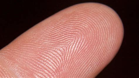 Our Fingerprints Make Us Unique They Set Us Apart From Others And No