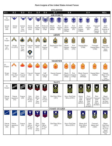 Military enlistment / american armed services. air force awards and decorations | Billingsblessingbags.org