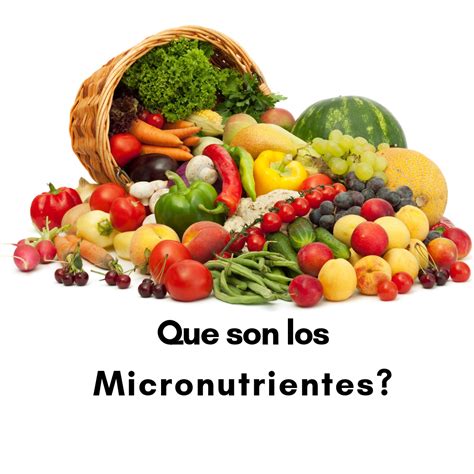 O Que Sao Micronutrientes Sololearn