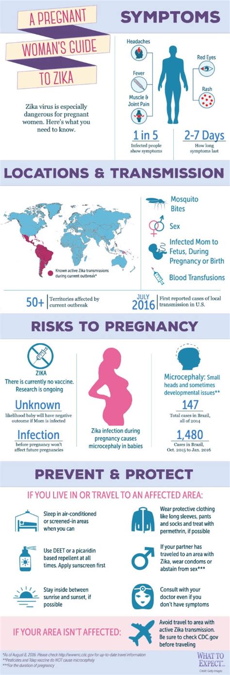Pregnancy And Zika Infographic What To Expect