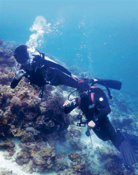 Nonton koleksi video kami tentang lukisan pemandangan di dasar laut dan film dari indonesia dan di seluruh dunia. Terbaru 30 Lukisan Pemandangan Hidupan Di Dasar Laut ...