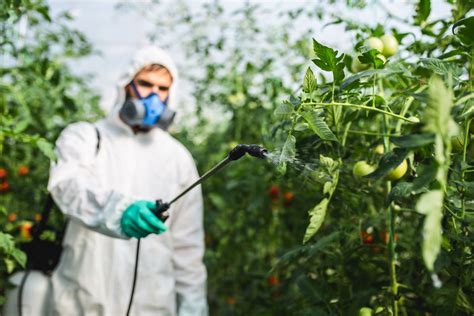 7 Ways Pesticides Impact Your Health And What To Do About It