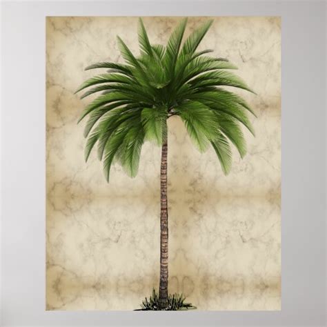 Vintage Palm Tree Tropical Elegant Marble Poster