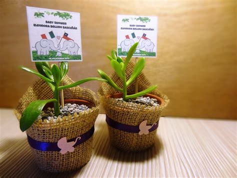 En este tipo de arreglo podemos usar especies como siemprevivas (sempervivum), aloe vera, chumbera enana (opuntia) y otras cuya forma se caracteriza por ser más esférica como los céreps y el asiento de suegra (equinocactus). Encintados Con Cactus Suculentas, Mensajes Baby Shower Y ...