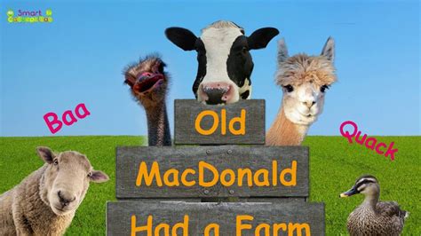 Famous Old Macdonald Had A Farm With Real Animals Ideas
