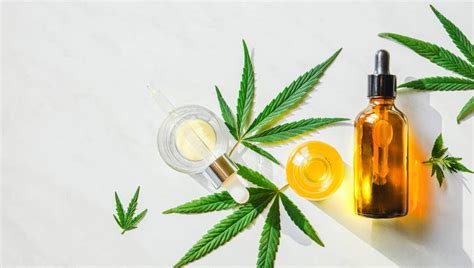 5 benefits of consuming cbd oil knowledge lands