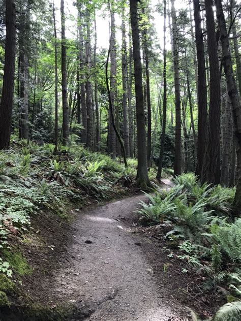 Tripadvisor has 57 reviews of guemes island hotels, attractions, and restaurants making it your best guemes island resource. Guemes Mountain — Washington Trails Association