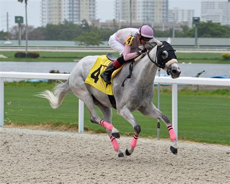 Gulfstream Park on Twitter: "Tiz Enough pulls away in the final stretch
