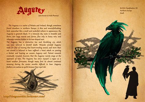 Augurey Fantastic Beasts Book By Dragonstrace On Deviantart