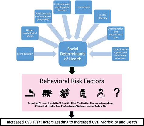 Cardiovascular Disease Risk Factors In Women The Impact Of Race And Ethnicity A Scientific