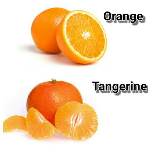 After Noticing Half Of 9gag Confuses A Tangerine With An Orange I