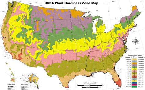 Usda Plant Hardiness Map Colored Map