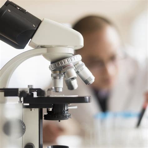 Place all of your other materials nearby. Difference Between Compound & Dissecting Microscopes ...