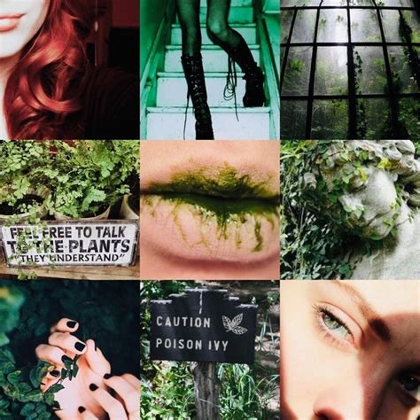 Requests Open — Dc Aesthetics Poison Ivy